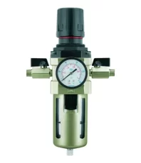 D_Q_NP_2X_797939-MLU77073350599_062024-E